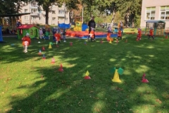 72201536_376409543245676_7409234488758108160_n