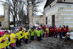 20190215_112952