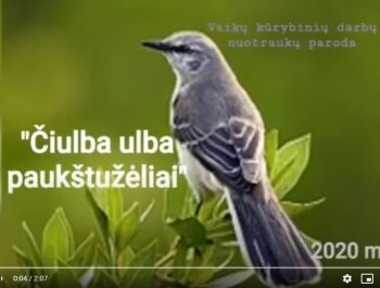 Kūrybinių darbų paroda “Čiulba ulba paukštužėlis”