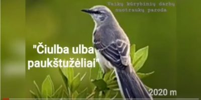 Kūrybinių darbų paroda “Čiulba ulba paukštužėlis”