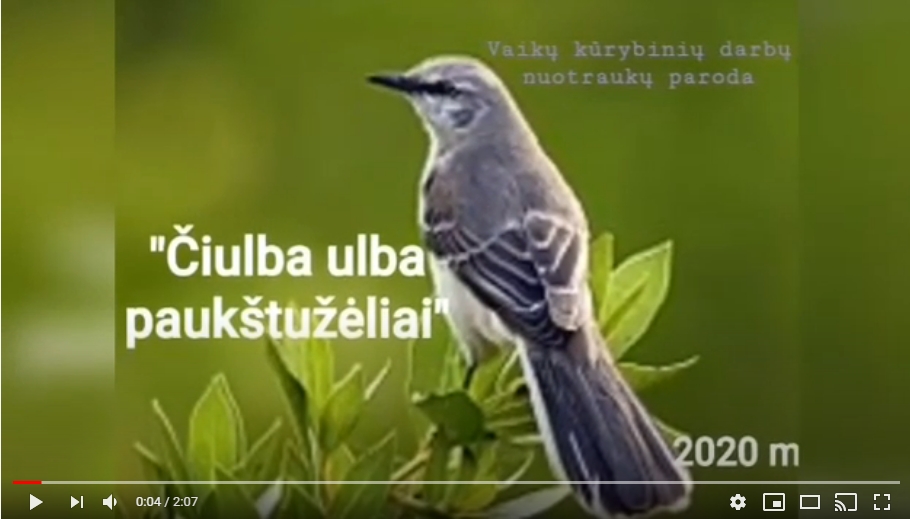 Kūrybinių darbų paroda “Čiulba ulba paukštužėlis”